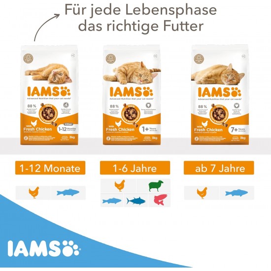 IAMS Junior Dry Cat Food with Chicken - Dry Food for Kittens Aged 1-12 Months, 1.5 kg IAMS Junior Dry Cat Food with Chicken - Dry Food for Kittens Aged 1-12 Months, 1.5 kg