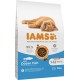 IAMS Junior Dry Cat Food with Chicken - Dry Food for Kittens Aged 1-12 Months, 1.5 kg IAMS Junior Dry Cat Food with Chicken - Dry Food for Kittens Aged 1-12 Months, 1.5 kg