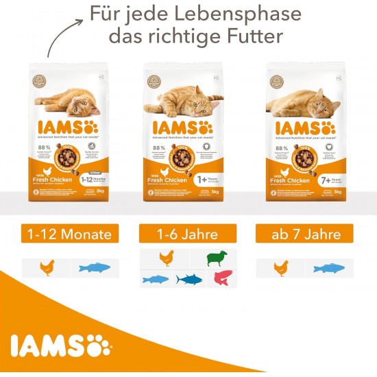 IAMS Junior Dry Cat Food with Chicken - Dry Food for Kittens Aged 1-12 Months, 1.5 kg IAMS Junior Dry Cat Food with Chicken - Dry Food for Kittens Aged 1-12 Months, 1.5 kg