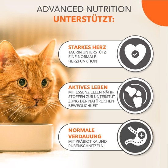 IAMS Senior Dry Cat Food with Chicken - Dry Food for Older Cats from 11 Years, 10 kg IAMS Senior Dry Cat Food with Chicken - Dry Food for Older Cats from 11 Years, 10 kg