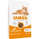 IAMS Senior Dry Cat Food with Chicken - Dry Food for Older Cats from 11 Years, 10 kg IAMS Senior Dry Cat Food with Chicken - Dry Food for Older Cats from 11 Years, 10 kg