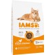 IAMS Senior Dry Cat Food with Tuna - Dry Food for Older Cats from 7 Years, 3 kg IAMS Senior Dry Cat Food with Tuna - Dry Food for Older Cats from 7 Years, 3 kg