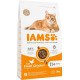 IAMS Senior Dry Cat Food with Tuna - Dry Food for Older Cats from 7 Years, 3 kg IAMS Senior Dry Cat Food with Tuna - Dry Food for Older Cats from 7 Years, 3 kg