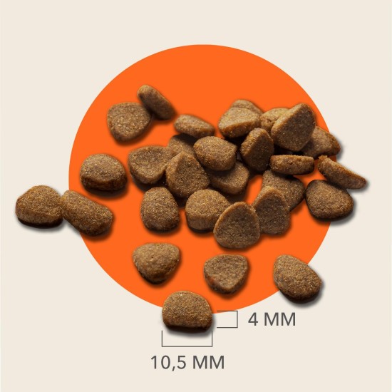 IAMS Senior Katzenfutter trocken mit Thunisch - Trockenfutter für ältere Katzen ab 7 Jahren, 3 kg IAMS Senior Katzenfutter trocken mit Thunisch - Trockenfutter für ältere Katzen ab 7 Jahren, 3 kg