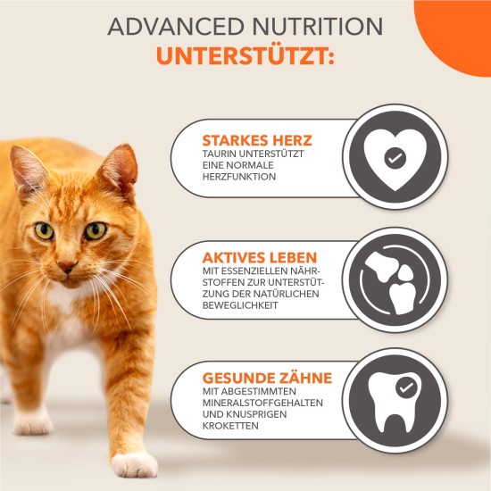 IAMS Senior Katzenfutter trocken mit Thunisch - Trockenfutter für ältere Katzen ab 7 Jahren, 3 kg IAMS Senior Katzenfutter trocken mit Thunisch - Trockenfutter für ältere Katzen ab 7 Jahren, 3 kg