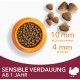 IAMS Sensitive Digestion Cat Food Dry with Turkey - Dry Food for Cats with Sensitive Stomachs from 1 Year, 10 kg IAMS Sensitive Digestion Cat Food Dry with Turkey - Dry Food for Cats with Sensitive Stomachs from 1 Year, 10 kg