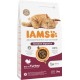 IAMS Sensitive Digestion Cat Food Dry with Turkey - Dry Food for Cats with Sensitive Stomachs from 1 Year, 10 kg IAMS Sensitive Digestion Cat Food Dry with Turkey - Dry Food for Cats with Sensitive Stomachs from 1 Year, 10 kg