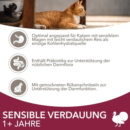 IAMS Sensitive Digestion Cat Food Dry with Turkey - Dry Food for Cats with Sensitive Stomachs from 1 Year, 10 kg IAMS Sensitive Digestion Cat Food Dry with Turkey - Dry Food for Cats with Sensitive Stomachs from 1 Year, 10 kg