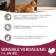 IAMS Sensitive Digestion Cat Food Dry with Turkey - Dry Food for Cats with Sensitive Stomachs from 1 Year, 10 kg IAMS Sensitive Digestion Cat Food Dry with Turkey - Dry Food for Cats with Sensitive Stomachs from 1 Year, 10 kg