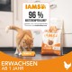 IAMS for Vitality Dry Cat Food with Chicken — Dry Food for Cats Aged 1-6 Years, 3 kg (Pack of 1) IAMS for Vitality Dry Cat Food with Chicken — Dry Food for Cats Aged 1-6 Years, 3 kg (Pack of 1)