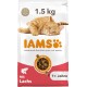 IAMS for Vitality Dry Cat Food with Chicken — Dry Food for Cats Aged 1-6 Years, 3 kg (Pack of 1) IAMS for Vitality Dry Cat Food with Chicken — Dry Food for Cats Aged 1-6 Years, 3 kg (Pack of 1)