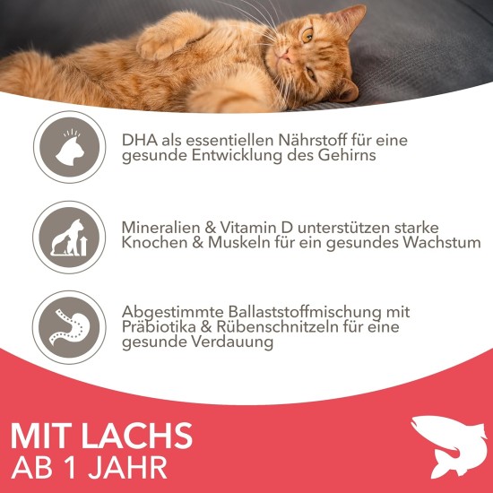 IAMS for Vitality Dry Cat Food with Chicken — Dry Food for Cats Aged 1-6 Years, 3 kg (Pack of 1) IAMS for Vitality Dry Cat Food with Chicken — Dry Food for Cats Aged 1-6 Years, 3 kg (Pack of 1)