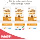 IAMS for Vitality Dry Cat Food with Chicken — Dry Food for Cats Aged 1-6 Years, 3 kg (Pack of 1) IAMS for Vitality Dry Cat Food with Chicken — Dry Food for Cats Aged 1-6 Years, 3 kg (Pack of 1)