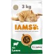 IAMS for Vitality Dry Cat Food with Chicken — Dry Food for Cats Aged 1-6 Years, 3 kg (Pack of 1) IAMS for Vitality Dry Cat Food with Chicken — Dry Food for Cats Aged 1-6 Years, 3 kg (Pack of 1)