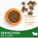 IAMS for Vitality Dry Cat Food with Chicken — Dry Food for Cats Aged 1-6 Years, 3 kg (Pack of 1) IAMS for Vitality Dry Cat Food with Chicken — Dry Food for Cats Aged 1-6 Years, 3 kg (Pack of 1)