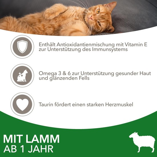 IAMS for Vitality Dry Cat Food with Chicken — Dry Food for Cats Aged 1-6 Years, 3 kg (Pack of 1) IAMS for Vitality Dry Cat Food with Chicken — Dry Food for Cats Aged 1-6 Years, 3 kg (Pack of 1)
