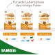 IAMS for Vitality Dry Cat Food with Chicken — Dry Food for Cats Aged 1-6 Years, 3 kg (Pack of 1) IAMS for Vitality Dry Cat Food with Chicken — Dry Food for Cats Aged 1-6 Years, 3 kg (Pack of 1)