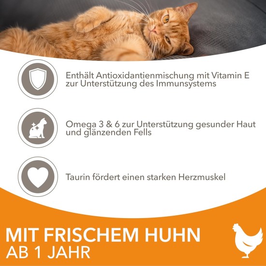 IAMS for Vitality Dry Cat Food with Chicken — Dry Food for Cats Aged 1-6 Years, 3 kg (Pack of 1) IAMS for Vitality Dry Cat Food with Chicken — Dry Food for Cats Aged 1-6 Years, 3 kg (Pack of 1)