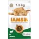 IAMS for Vitality Dry Cat Food with Chicken — Dry Food for Cats Aged 1-6 Years, 3 kg (Pack of 1) IAMS for Vitality Dry Cat Food with Chicken — Dry Food for Cats Aged 1-6 Years, 3 kg (Pack of 1)