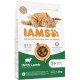 IAMS for Vitality Dry Cat Food with Chicken — Dry Food for Cats Aged 1-6 Years, 3 kg (Pack of 1) IAMS for Vitality Dry Cat Food with Chicken — Dry Food for Cats Aged 1-6 Years, 3 kg (Pack of 1)