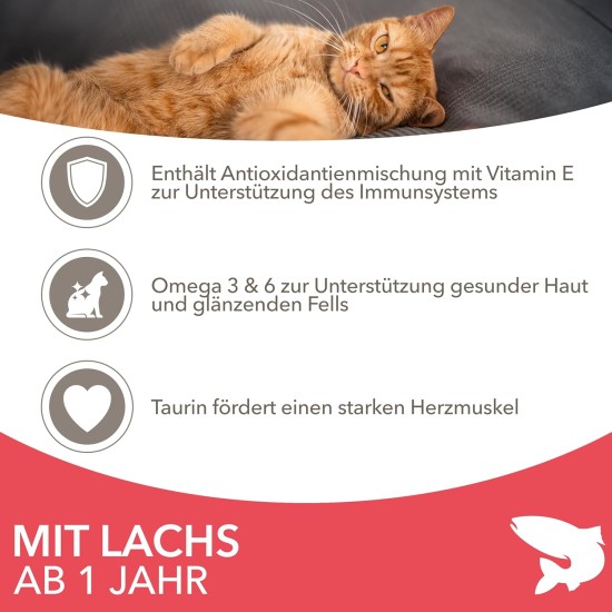 IAMS for Vitality Dry Cat Food with Chicken — Dry Food for Cats Aged 1-6 Years, 3 kg (Pack of 1) IAMS for Vitality Dry Cat Food with Chicken — Dry Food for Cats Aged 1-6 Years, 3 kg (Pack of 1)