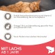 IAMS for Vitality Dry Cat Food with Chicken — Dry Food for Cats Aged 1-6 Years, 3 kg (Pack of 1) IAMS for Vitality Dry Cat Food with Chicken — Dry Food for Cats Aged 1-6 Years, 3 kg (Pack of 1)