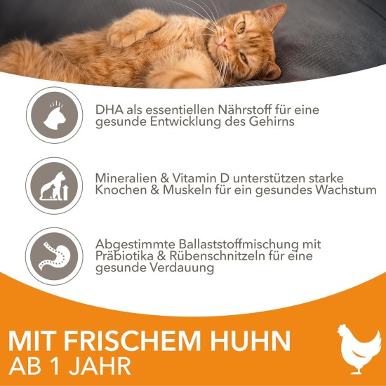 IAMS for Vitality Dry Cat Food with Chicken — Dry Food for Cats Aged 1-6 Years, 3 kg (Pack of 1) IAMS for Vitality Dry Cat Food with Chicken — Dry Food for Cats Aged 1-6 Years, 3 kg (Pack of 1)