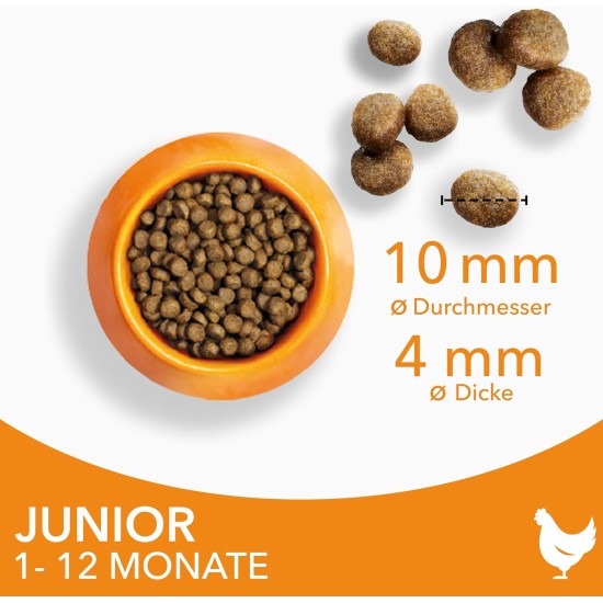 IAMS for Vitality Dry Food for Cats, Different Varieties, Junior IAMS for Vitality Dry Food for Cats, Different Varieties, Junior