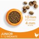 IAMS for Vitality Dry Food for Cats, Different Varieties, Junior IAMS for Vitality Dry Food for Cats, Different Varieties, Junior