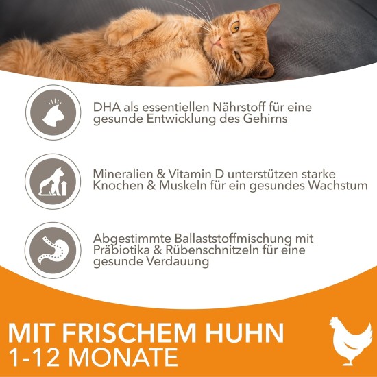 IAMS for Vitality Dry Food for Cats, Different Varieties, Junior IAMS for Vitality Dry Food for Cats, Different Varieties, Junior