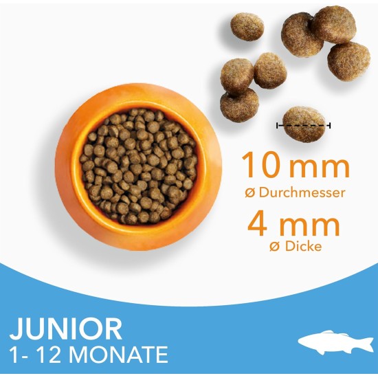 IAMS for Vitality Dry Food for Cats, Different Varieties, Junior IAMS for Vitality Dry Food for Cats, Different Varieties, Junior