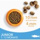IAMS for Vitality Dry Food for Cats, Different Varieties, Junior IAMS for Vitality Dry Food for Cats, Different Varieties, Junior