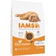 IAMS for Vitality Dry Food for Cats, Different Varieties, Junior IAMS for Vitality Dry Food for Cats, Different Varieties, Junior