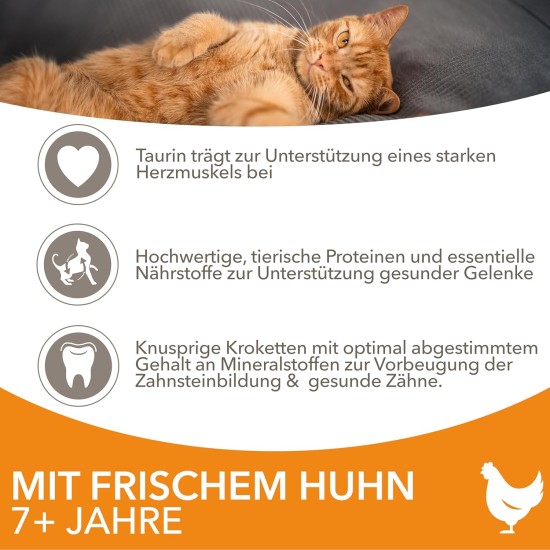 IAMS for Vitality Dry Food for Cats, Different Varieties, Senior IAMS for Vitality Dry Food for Cats, Different Varieties, Senior
