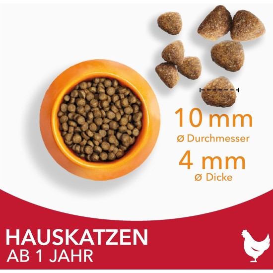 IAMS for Vitality Special Dry Cat Food Assorted IAMS for Vitality Special Dry Cat Food Assorted