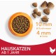 IAMS for Vitality Special Dry Cat Food Assorted