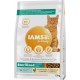 IAMS for Vitality Special Dry Cat Food Assorted IAMS for Vitality Special Dry Cat Food Assorted