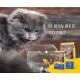 JOSERA Marinesse (1 x 400 g) | Adult | Premium Dry Food for Adult Allergic Cats | Salmon, Potato & Pea as Selected Protein Sources | Grain-Free | Cat Food | Pack of 1 JOSERA Marinesse (1 x 400 g) | Adult | Premium Dry Food for Adult Allergic Cats | Salmon, Potato & Pea as Selected Protein Sources | Grain-Free | Cat Food | Pack of 1
