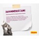JOSERA Senior Dry Cat Food for Older Cats, Super Premium Dry Food, Pack of 1 JOSERA Senior Dry Cat Food for Older Cats, Super Premium Dry Food, Pack of 1