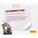 JOSERA Senior Dry Cat Food for Older Cats, Super Premium Dry Food, Pack of 1 JOSERA Senior Dry Cat Food for Older Cats, Super Premium Dry Food, Pack of 1