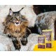 JOSERA Senior Dry Cat Food for Older Cats, Super Premium Dry Food, Pack of 1 JOSERA Senior Dry Cat Food for Older Cats, Super Premium Dry Food, Pack of 1