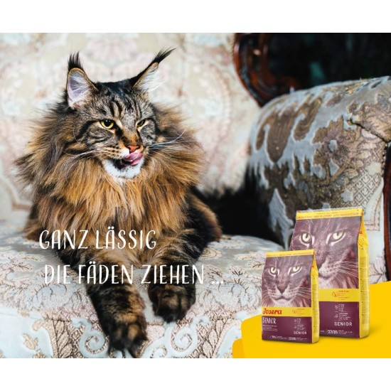 JOSERA Senior Dry Cat Food for Older Cats, Super Premium Dry Food, Pack of 1 JOSERA Senior Dry Cat Food for Older Cats, Super Premium Dry Food, Pack of 1