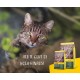 Josera Nature Cat - Complete Feed for Adult Cats - 2 kg (1 Pack) Josera Nature Cat - Complete Feed for Adult Cats - 2 kg (1 Pack)