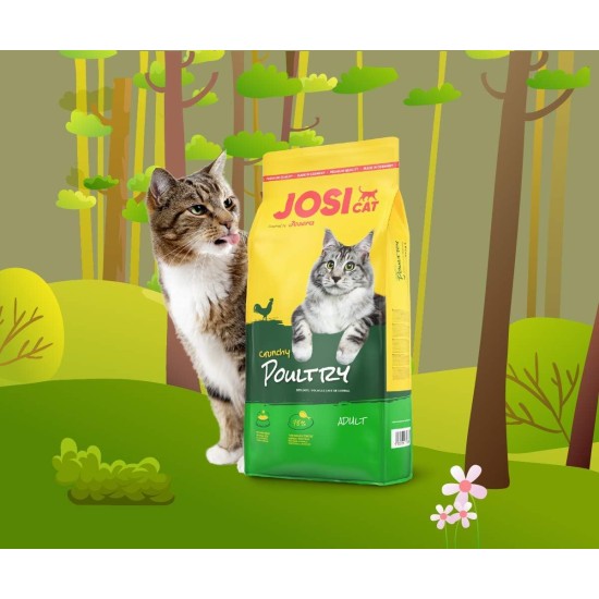 JosiCat Crispy Duck (1 x 10 kg) | Adult | Premium Dry Food for Cats | with Delicious Duck & Valuable Fatty Acids | Powered by Josera | Cat Food | Complete Food | Pack of 1 JosiCat Crispy Duck (1 x 10 kg) | Adult | Premium Dry Food for Cats | with Delicious Duck & Valuable Fatty Acids | Powered by Josera | Cat Food | Complete Food | Pack of 1