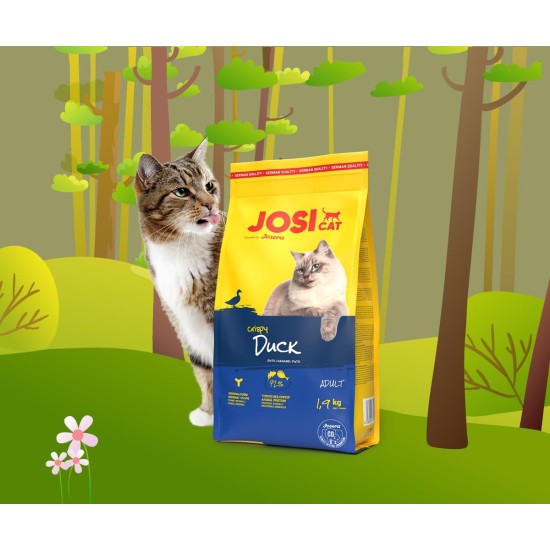 JosiCat Crunchy Chicken (3 x 1.9 kg) | Adult | Premium Dry Food for Cats | with Delicate Chicken & Valuable Fatty Acids | Powered by Josera | Cat Food | Complete Food | Pack of 3 JosiCat Crunchy Chicken (3 x 1.9 kg) | Adult | Premium Dry Food for Cats | with Delicate Chicken & Valuable Fatty Acids | Powered by Josera | Cat Food | Complete Food | Pack of 3