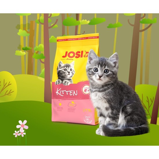 JosiCat Kitten (1 x 10 kg) Junior Premium Dry Food for Growing and Carrying & Lactating Cats with High Energy Content & Valuable Salmon Oil & Vitamins Powered by Josera Pack of 1 JosiCat Kitten (1 x 10 kg) Junior Premium Dry Food for Growing and Carrying & Lactating Cats with High Energy Content & Valuable Salmon Oil & Vitamins Powered by Josera Pack of 1