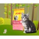 JosiCat Kitten (1 x 10 kg) Junior Premium Dry Food for Growing and Carrying & Lactating Cats with High Energy Content & Valuable Salmon Oil & Vitamins Powered by Josera Pack of 1 JosiCat Kitten (1 x 10 kg) Junior Premium Dry Food for Growing and Carrying & Lactating Cats with High Energy Content & Valuable Salmon Oil & Vitamins Powered by Josera Pack of 1