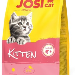 JosiCat Kitten (1 x 1.9 kg) Junior Premium Dry Food for Growing and Carrying & Lactating Cats with High Energy Content & Valuable Salmon Oil & Vitamins Powered by Josera Pack of 1
