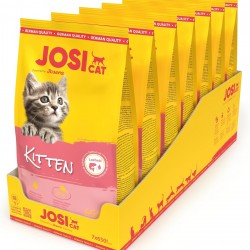 JosiCat Kitten (7 x 650 g) | Junior | Premium Dry Food for Growing as well as Carrying & Lactating Cats | with High Energy Content & Valuable Salmon Oil & Vitamins | Powered by Josera | Pack of 7