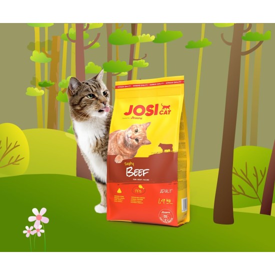JosiCat Tasty Beef (7 x 650 g) | Adult | Premium Dry Food for Cats | with Hearty Beef - Very Well Tolerated Formula | Powered by Josera | Cat Food | Complete Food | Pack of 7 JosiCat Tasty Beef (7 x 650 g) | Adult | Premium Dry Food for Cats | with Hearty Beef - Very Well Tolerated Formula | Powered by Josera | Cat Food | Complete Food | Pack of 7